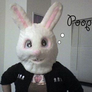 Meet your Posher, Elise